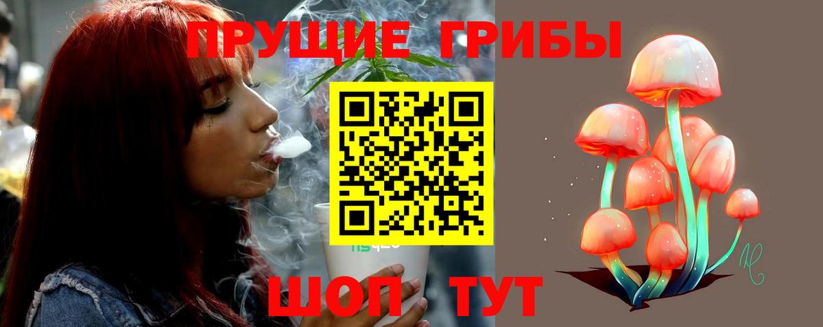 Галлюциногенные грибы GOLDEN TEACHER  как найти закладки  Вход с VPN  Учалы  Псилоцибиновые грибы Cubensis 